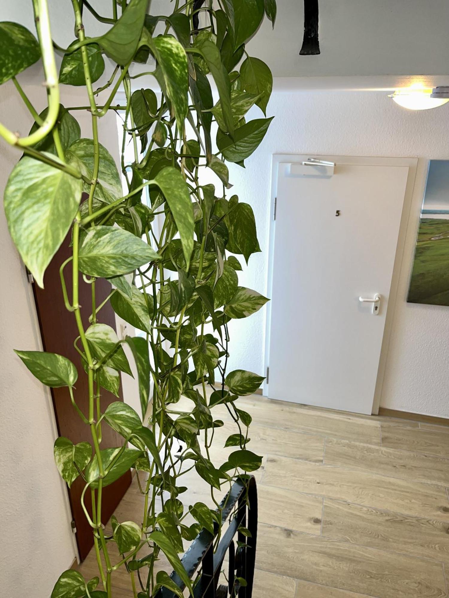 Gaestehaus Forchheim Guest house